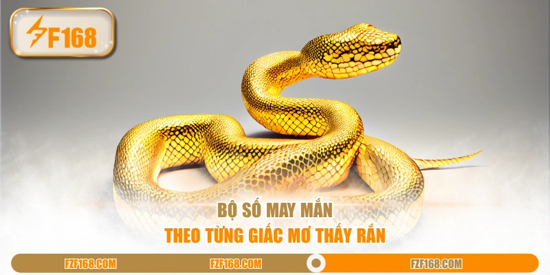 Bộ số may mắn theo từng giấc mơ thấy rắn