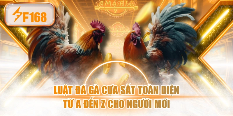 Luật Đá Gà Cựa Sắt Toàn Diện Từ A Đến Z Cho Người Mới