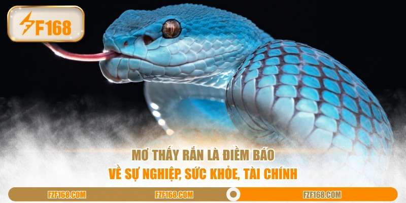 Mơ thấy rắn là điềm báo về sự nghiệp, sức khỏe, tài chính